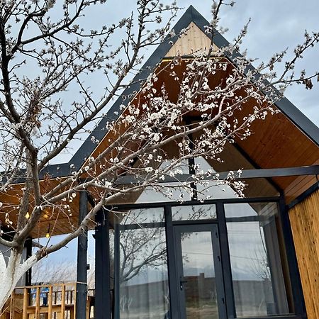 Coral Houses Tossor ภายนอก รูปภาพ