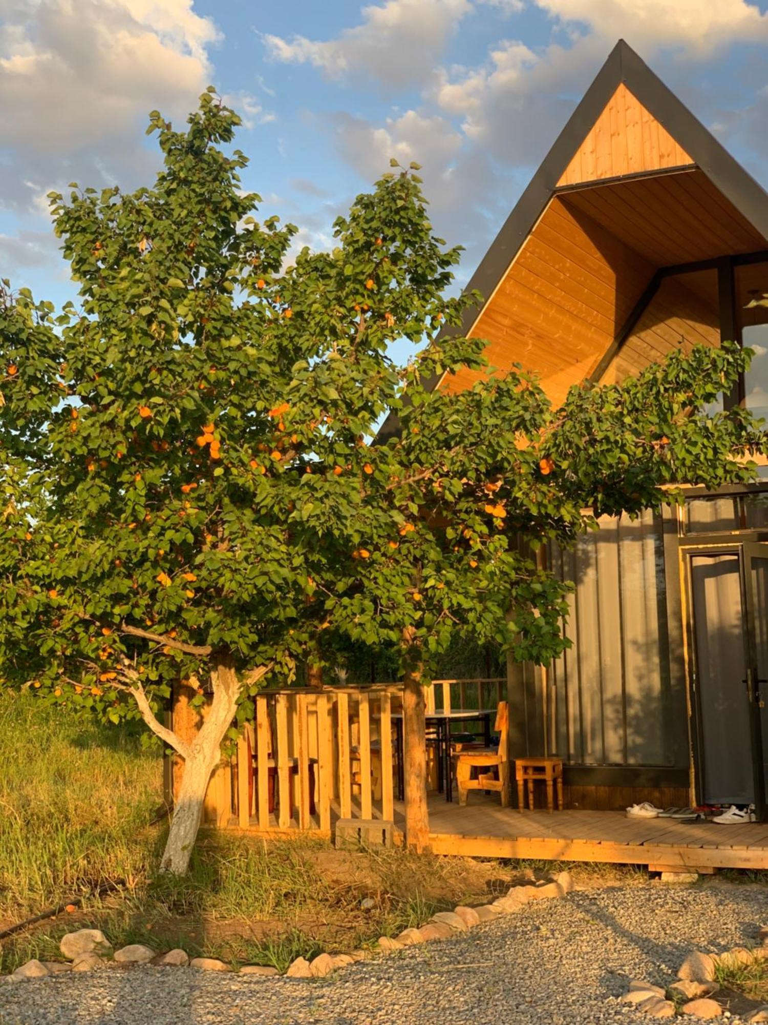 Coral Houses Tossor ภายนอก รูปภาพ